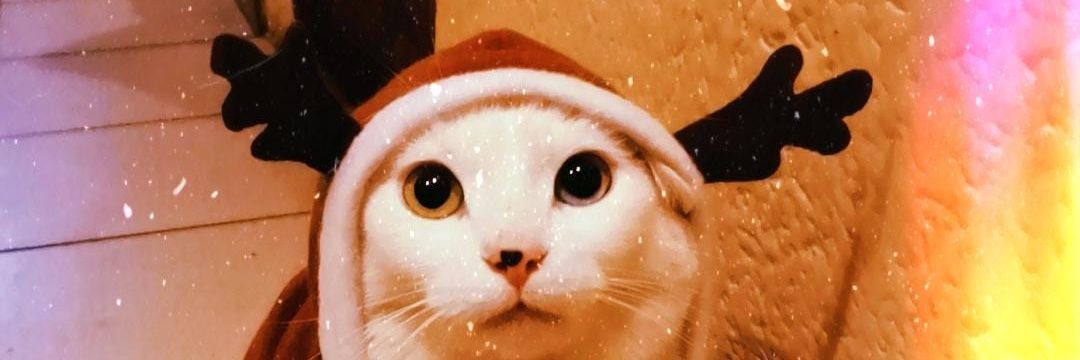 LuSole24's profile banner image