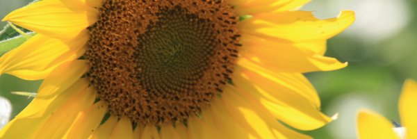 MrsY8tes Profile Banner