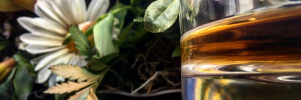 mybourbonpod Profile Banner