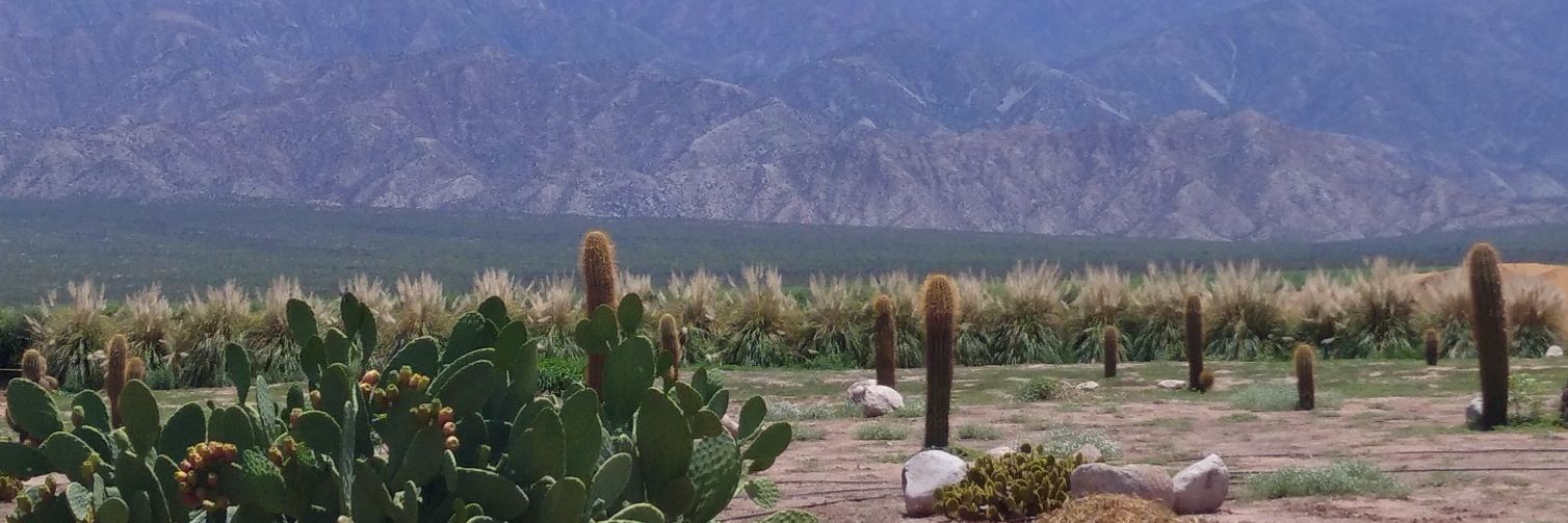 Esteban Coalova banner