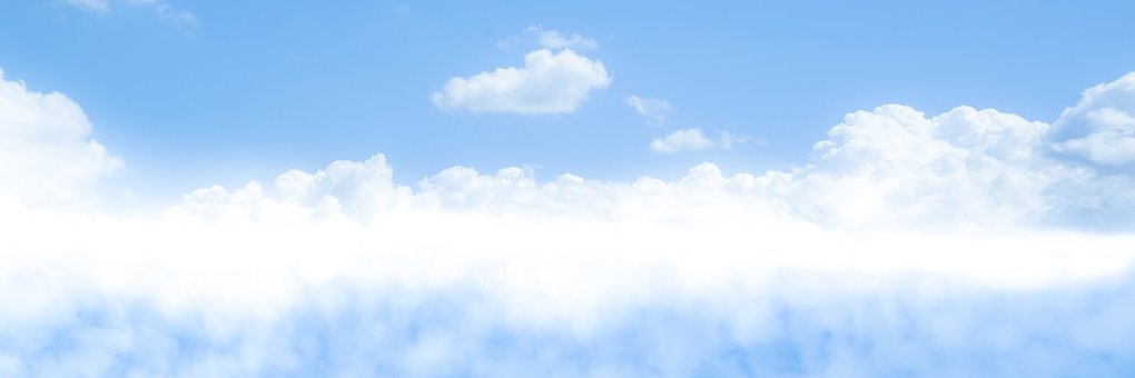 Living Buildings banner