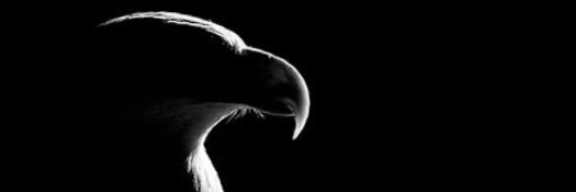 enver177's profile banner image