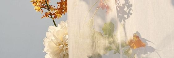 Thuy Pham | UGC Creator & Photographer banner