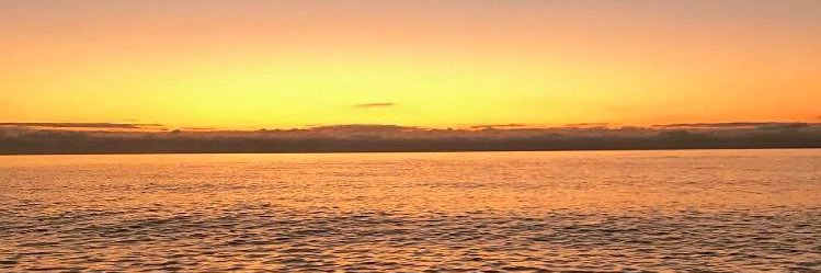 theo (they/them) 🏳️‍⚧️ banner