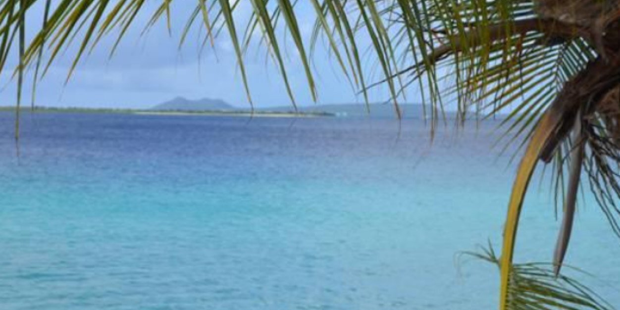 Johelyn banner