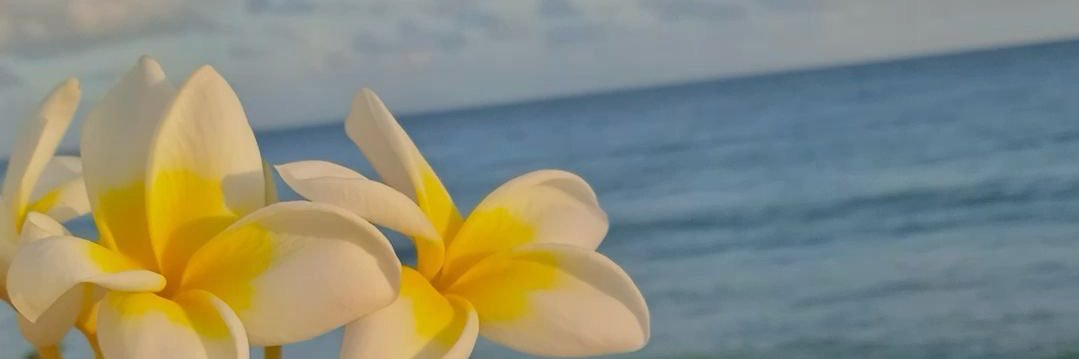 smilegetdo's profile banner image