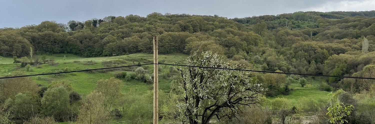dicleayra's profile banner image