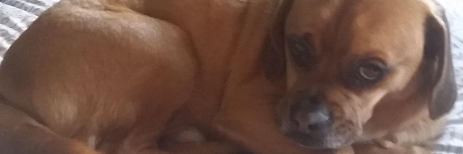 jpassssss's profile banner image
