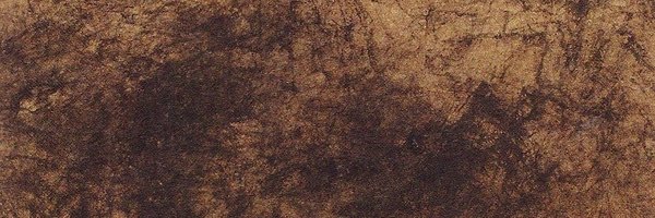 studentsofdecay Profile Banner