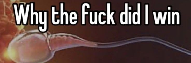 ozibea's profile banner image