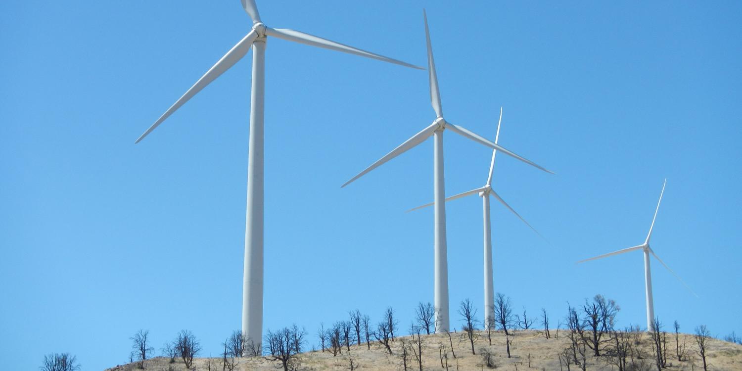 Michael Marshak banner