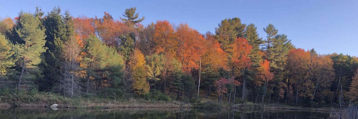 Vincent Rotello banner
