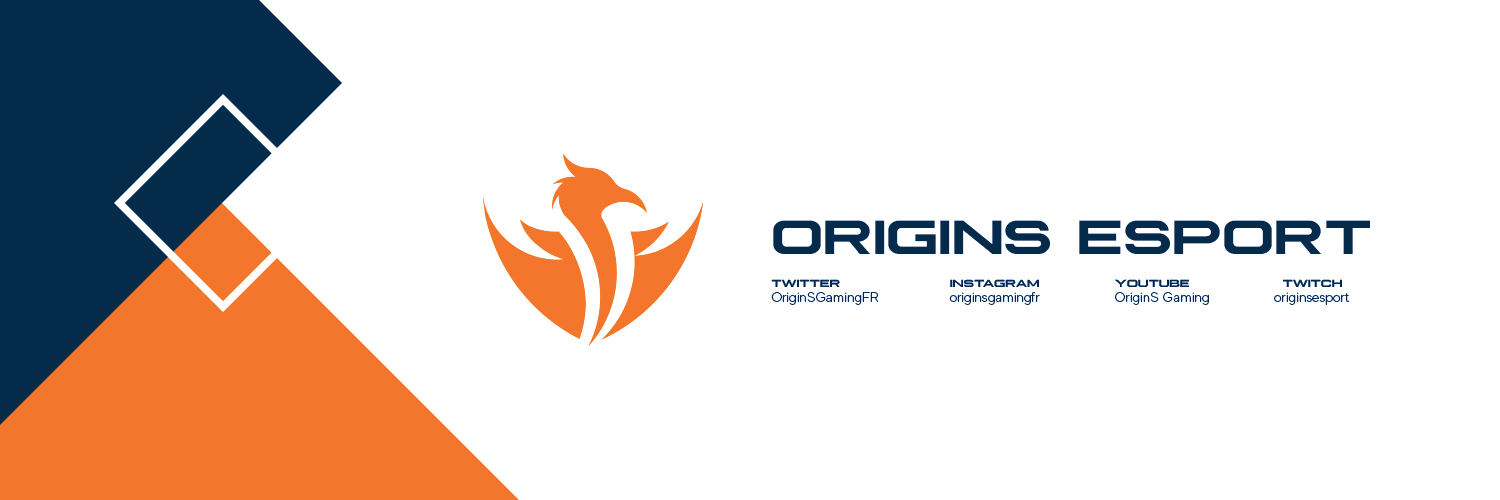 OriginS Ⓡ banner