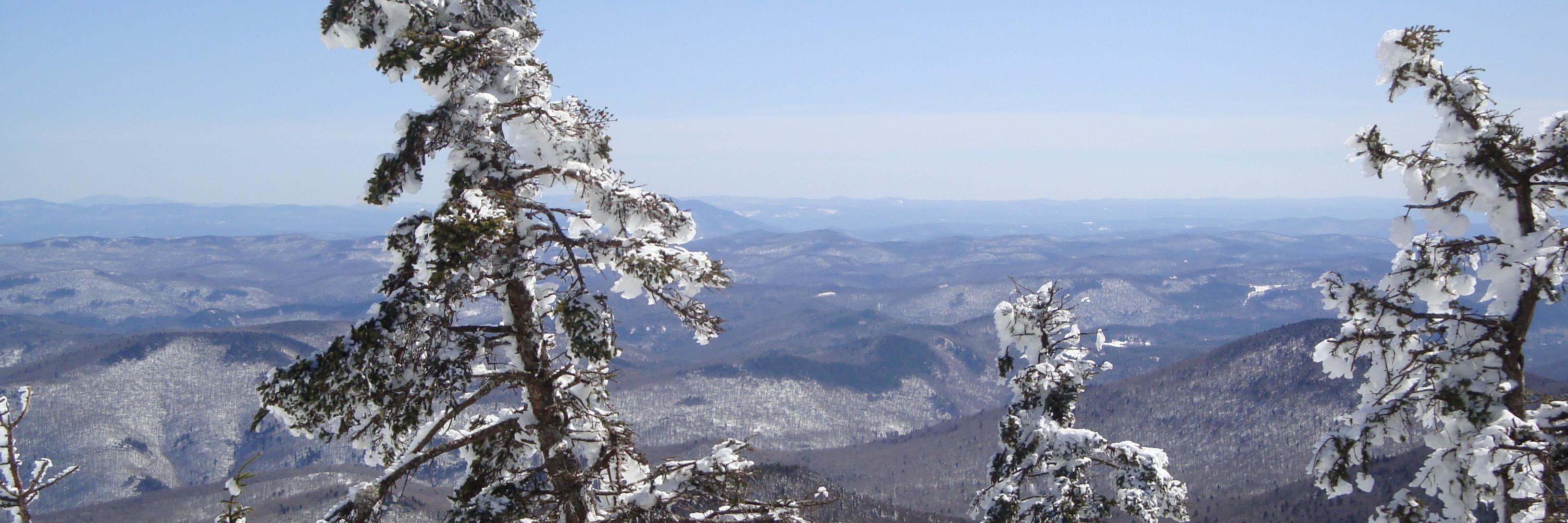 James Bradburn banner