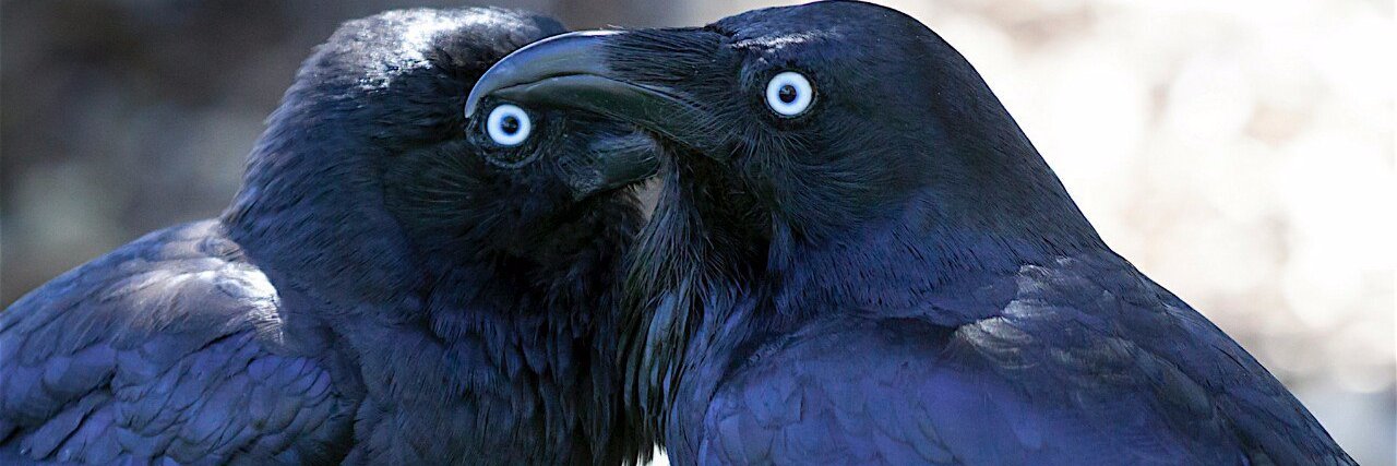 дым и зеркала banner