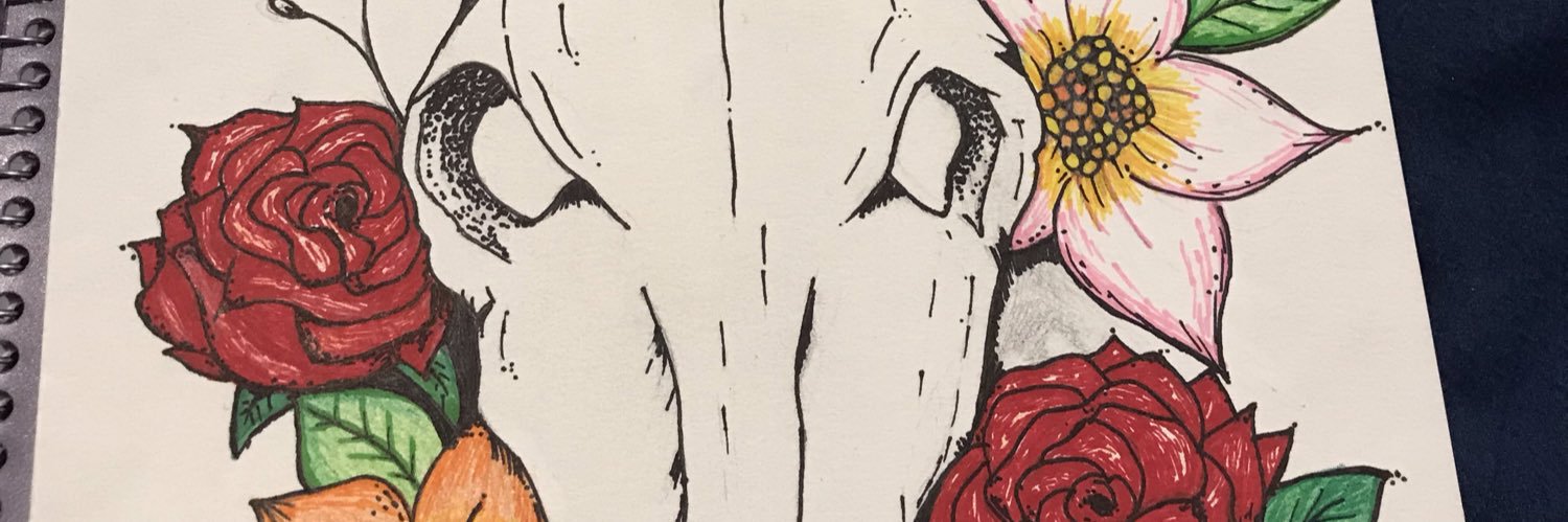 caitycurr's profile banner image