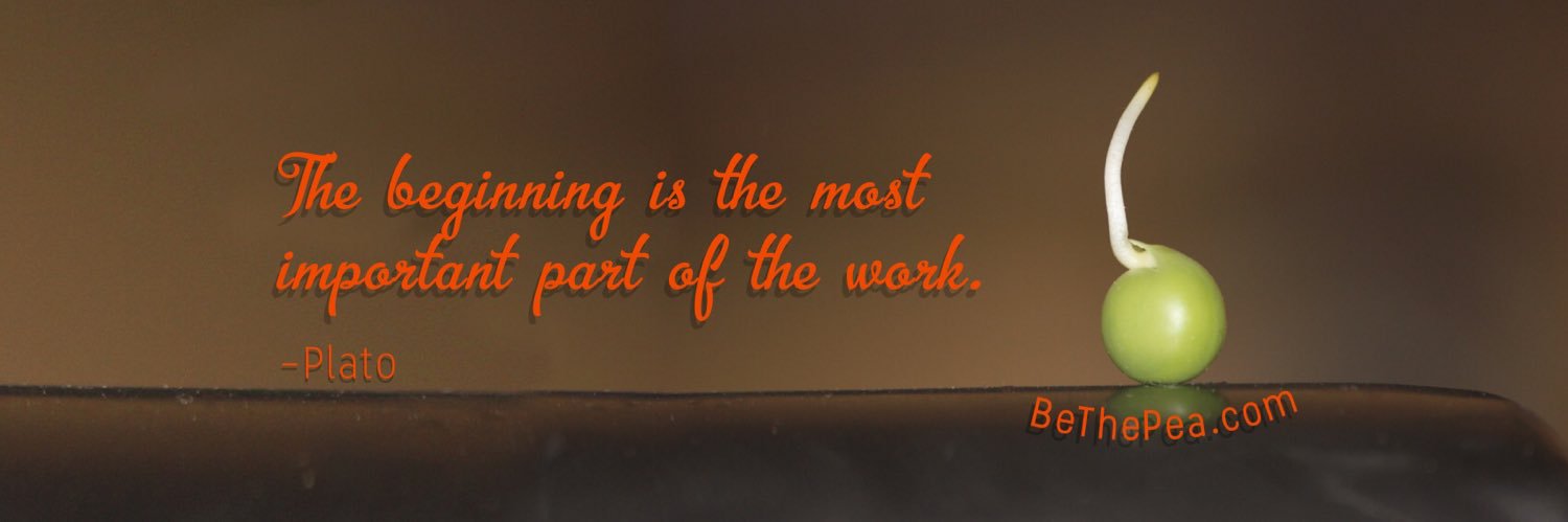 BeThePea's profile banner image