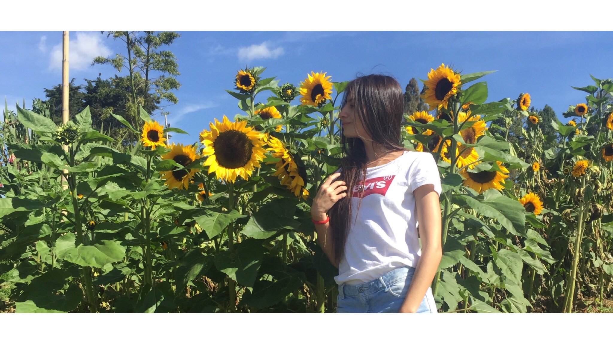 Linamaria_2's profile banner image