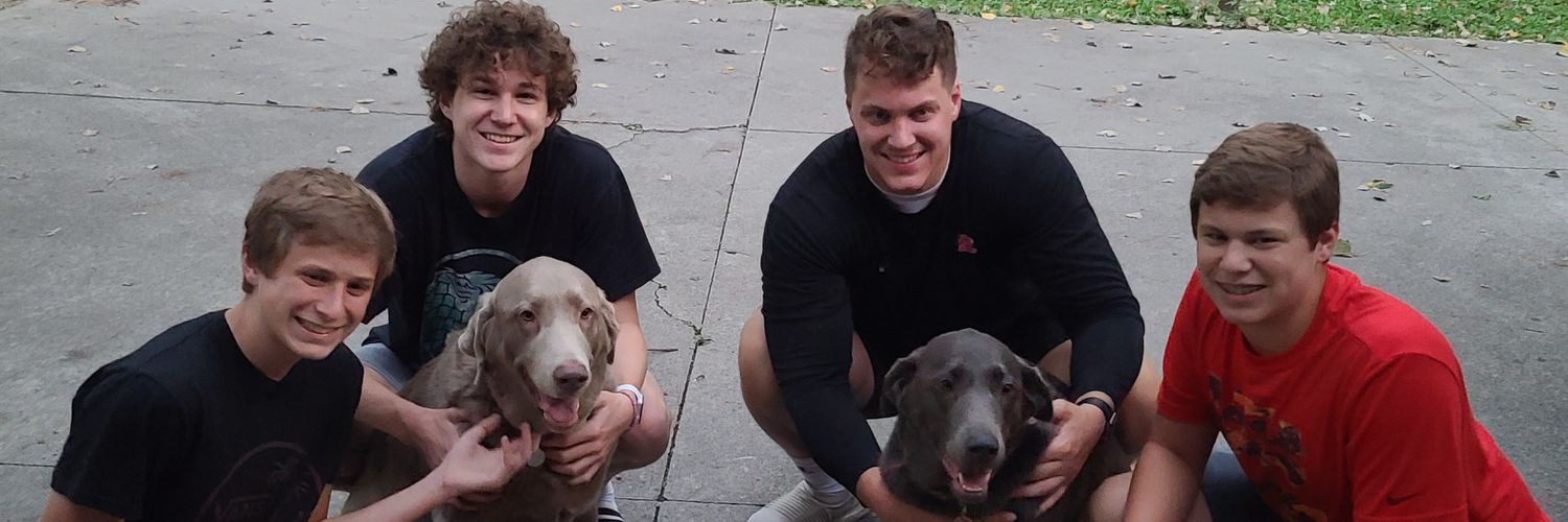 lilbords's profile banner image