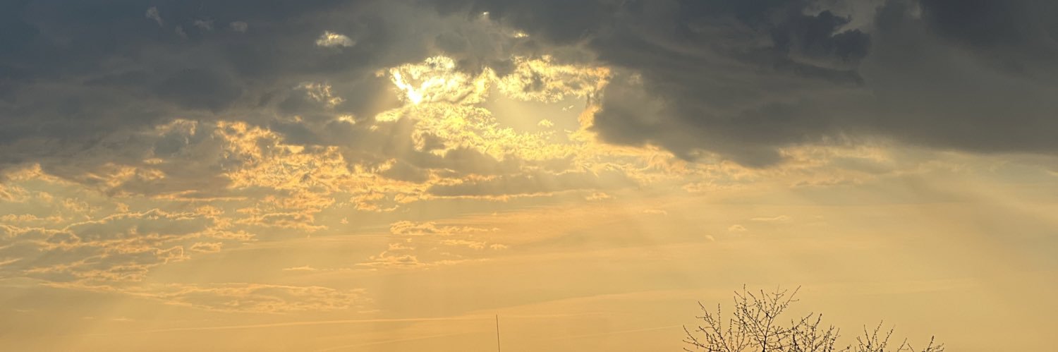 allisooooooooon's profile banner image