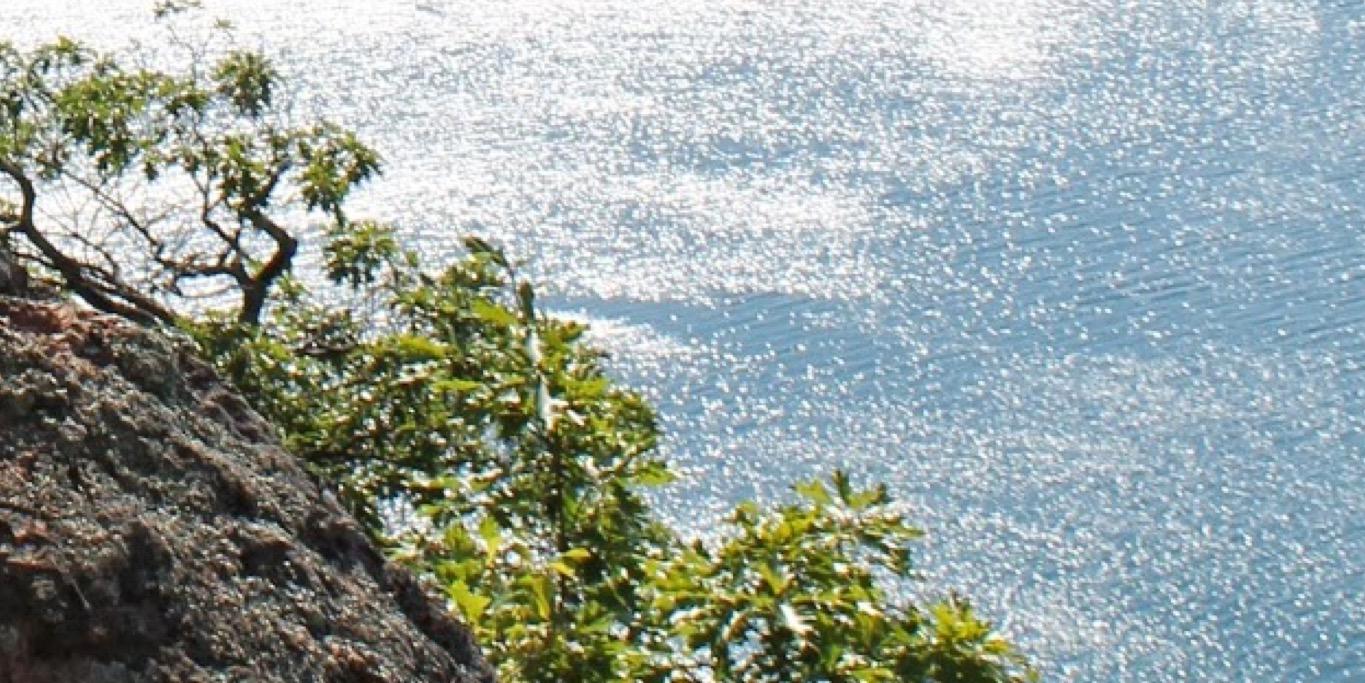 CaseyRMeehan's profile banner image