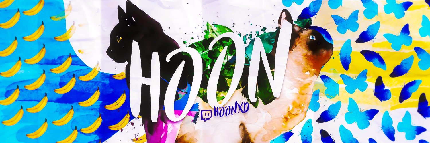 Hoon banner