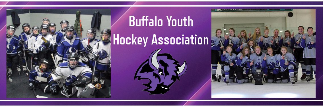 BYHA_Bison's profile banner image