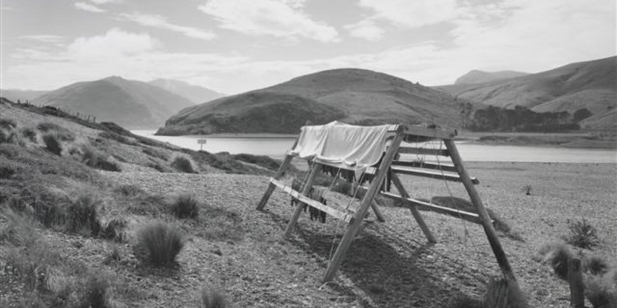 Charisma Rangipunga banner