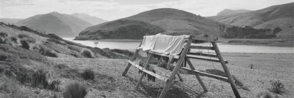 clrangipunga Profile Banner