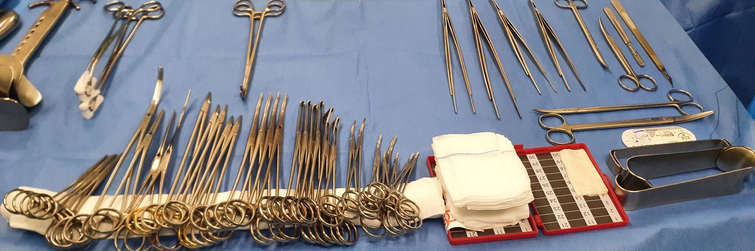 Maria Jesús Crespo banner