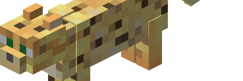peperruolo's profile banner image