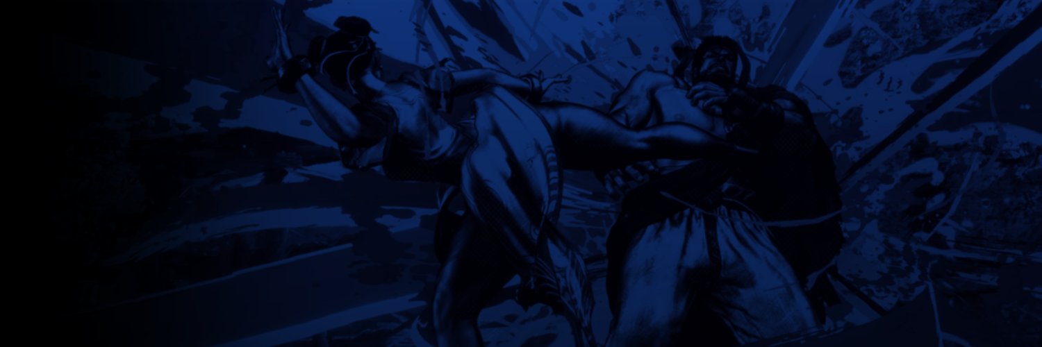 PanamaFighters 🥊 banner