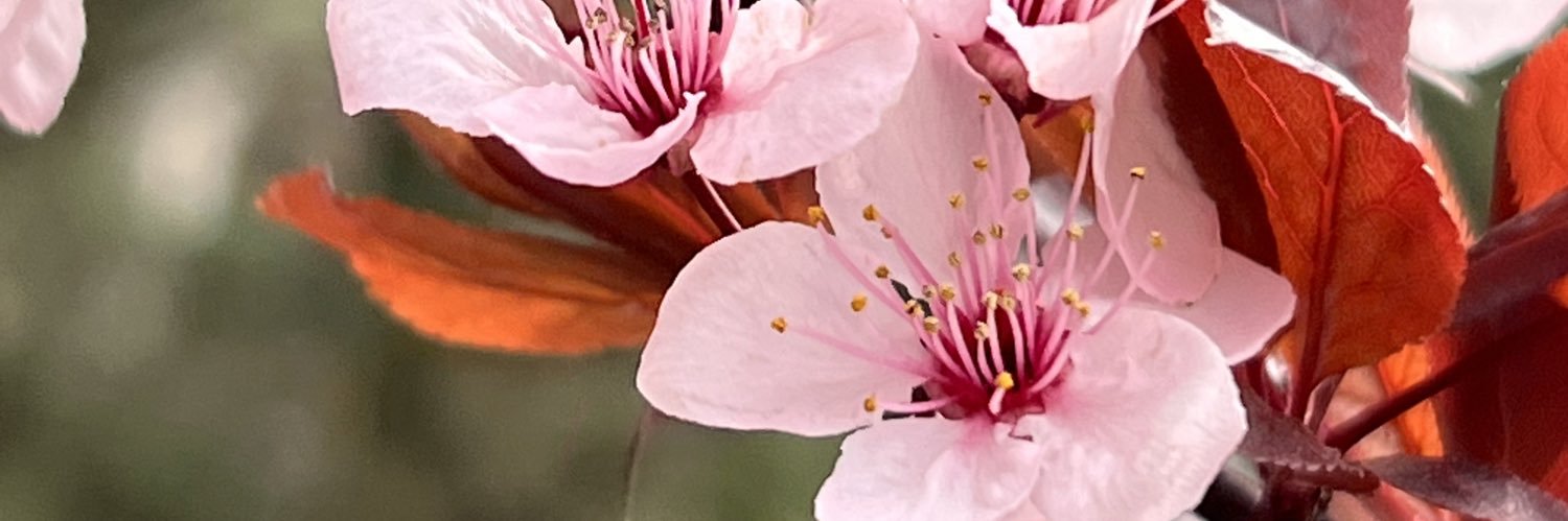 nickiedelva's profile banner image