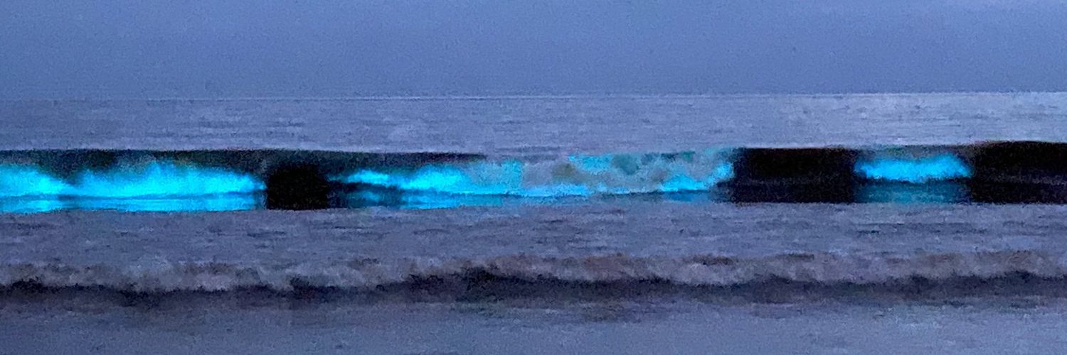 Martin Garcia banner