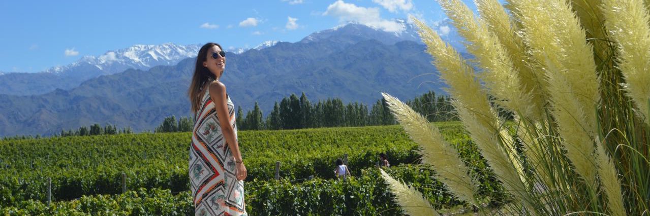 JoseColoschi's profile banner image