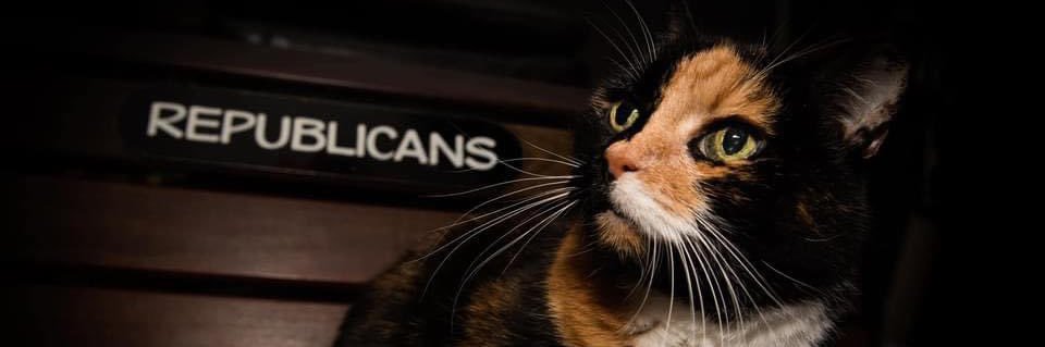 Kevin J. Ryan banner