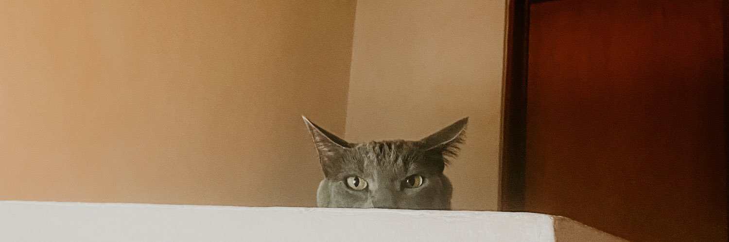 soysolwilhelm's profile banner image