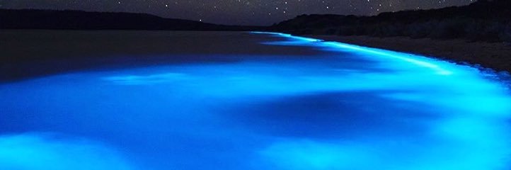 Alex S Hunter banner