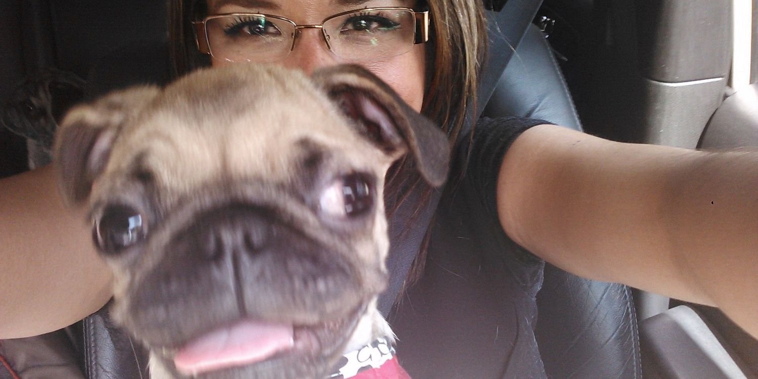 Silvia Lorena Fierro banner