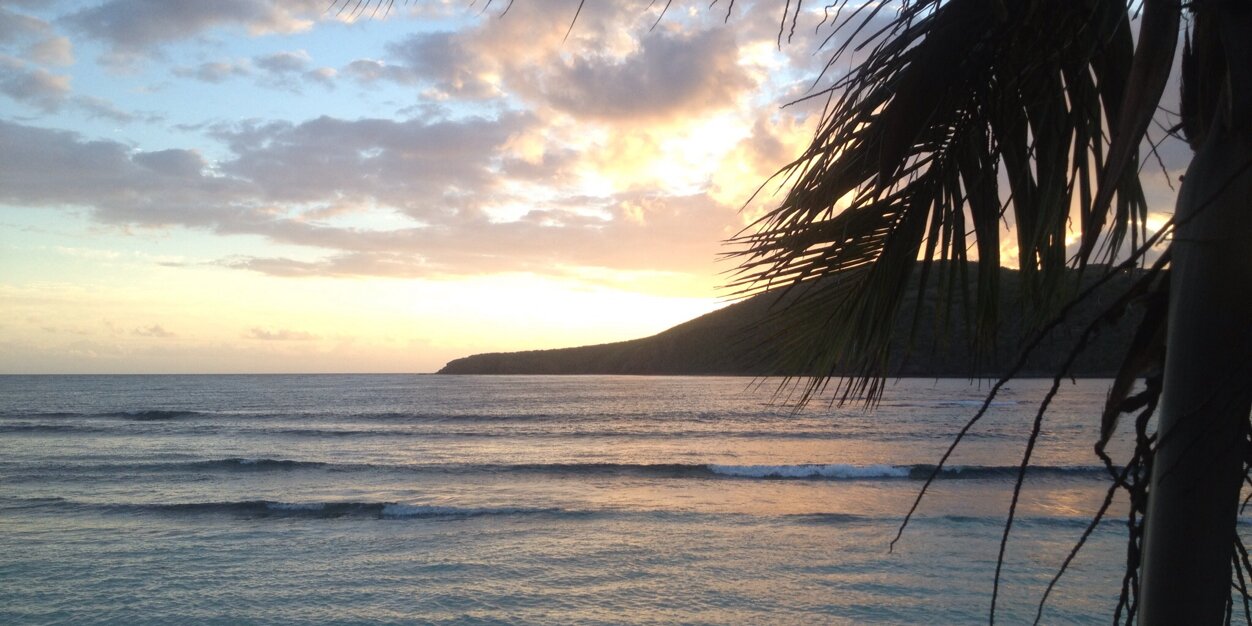 morekiwi_please's profile banner image