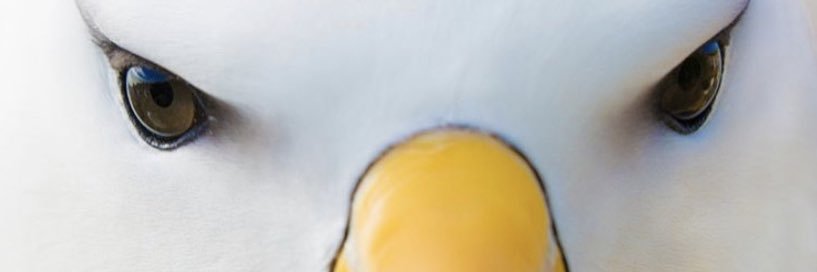 camcoynex's profile banner image