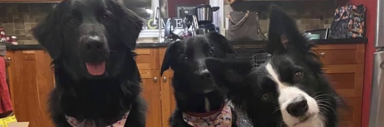 torichambss's profile banner image