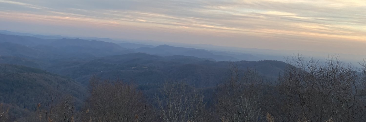 Shae’s Theory banner