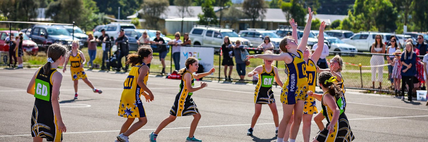 Netball Victoria banner