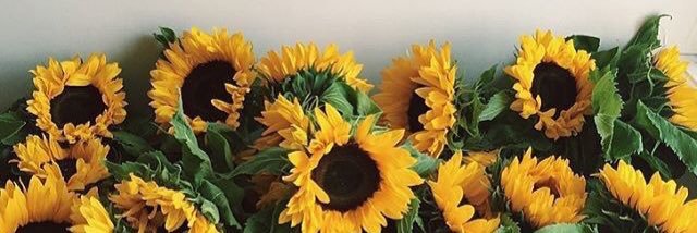 devonjanemoore7's profile banner image