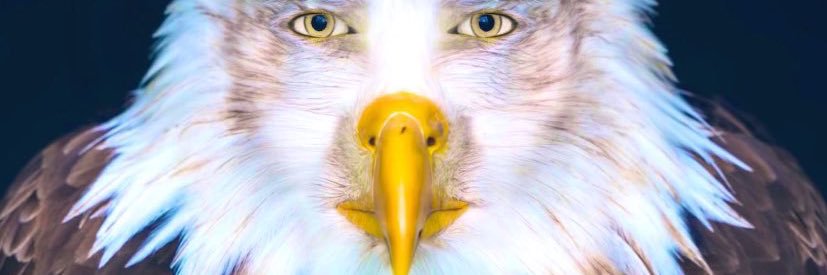 NFOTSQ 🇺🇲 banner