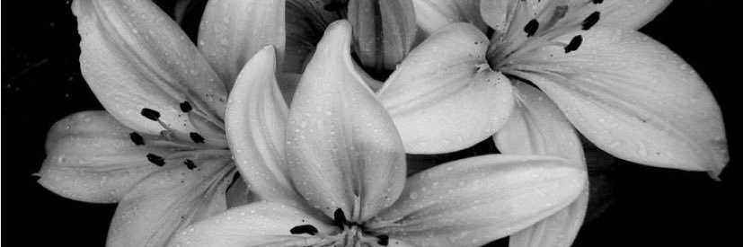cflowermakeup's profile banner image