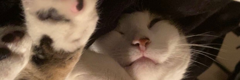 CarliGardner's profile banner image