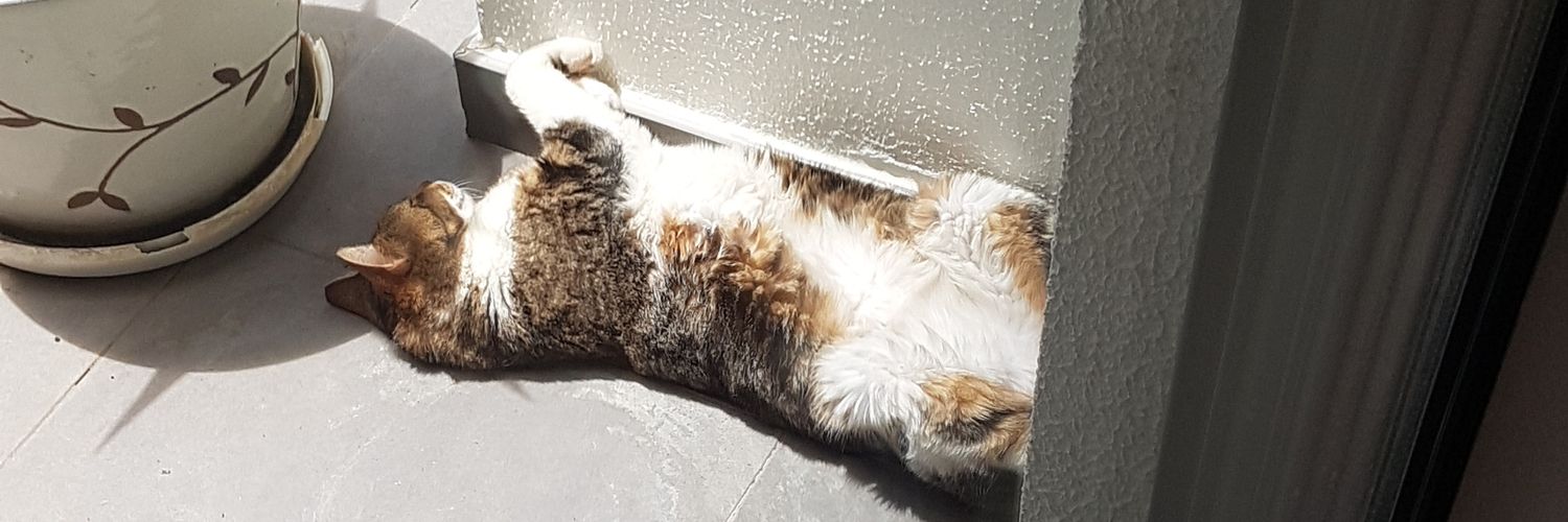 pineappletitgut's profile banner image