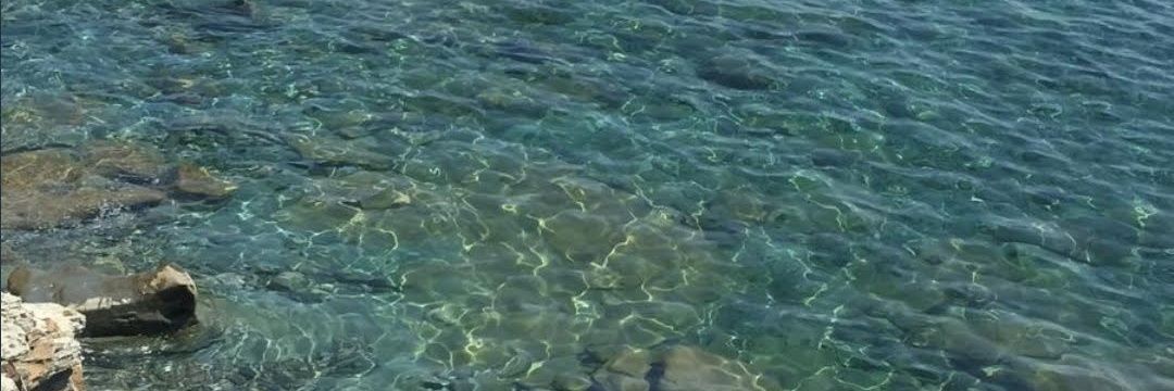 lepiska🇹🇷 banner